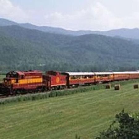 Honeymoon Getaway In Woods Near Noc And Smoky Mtn Rr Villa Брайсън Сити Екстериор снимка