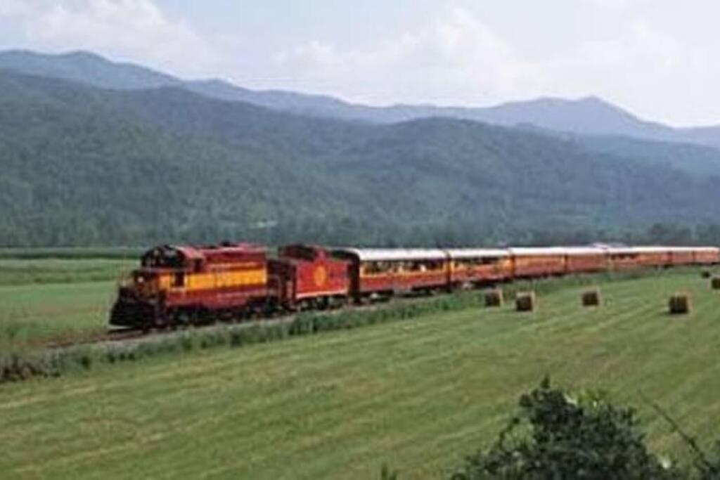 Honeymoon Getaway In Woods Near Noc And Smoky Mtn Rr Villa Брайсън Сити Екстериор снимка
