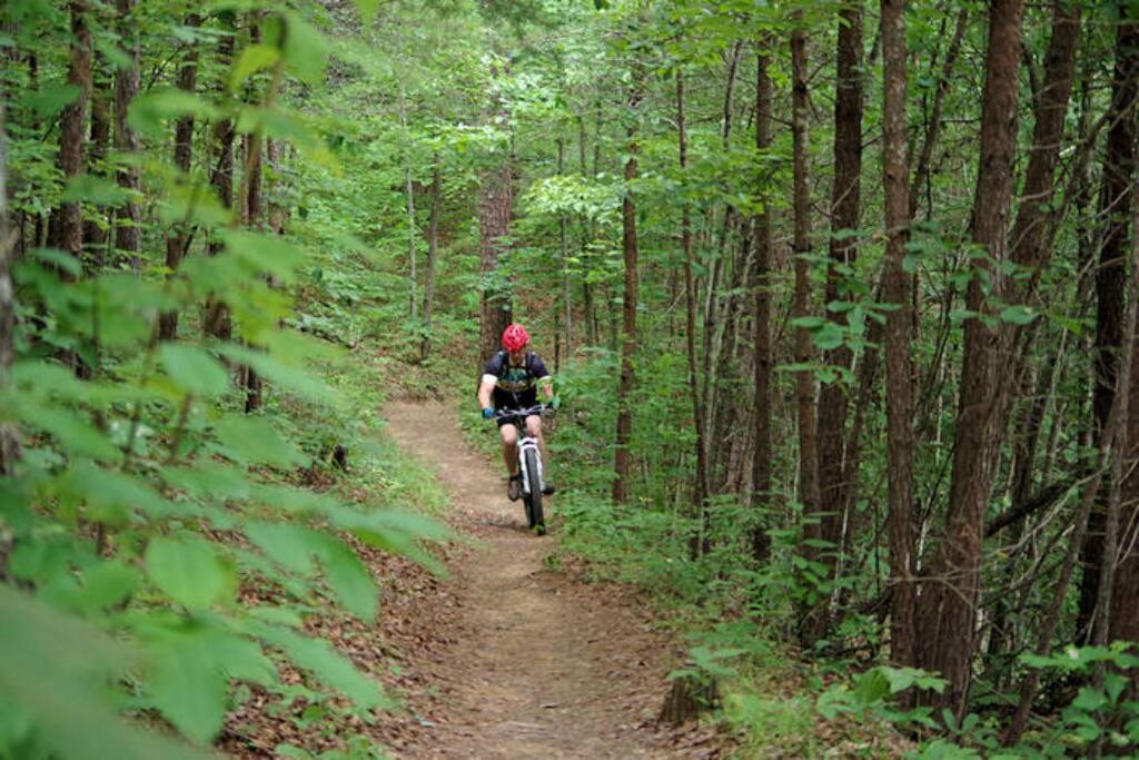 Honeymoon Getaway In Woods Near Noc And Smoky Mtn Rr Villa Брайсън Сити Екстериор снимка