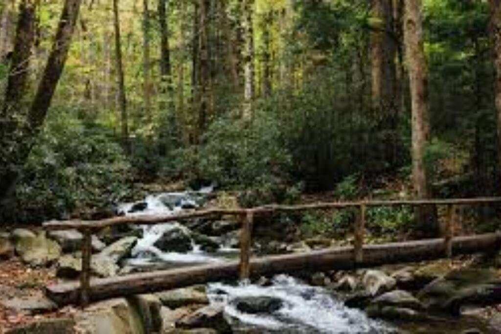 Honeymoon Getaway In Woods Near Noc And Smoky Mtn Rr Villa Брайсън Сити Екстериор снимка